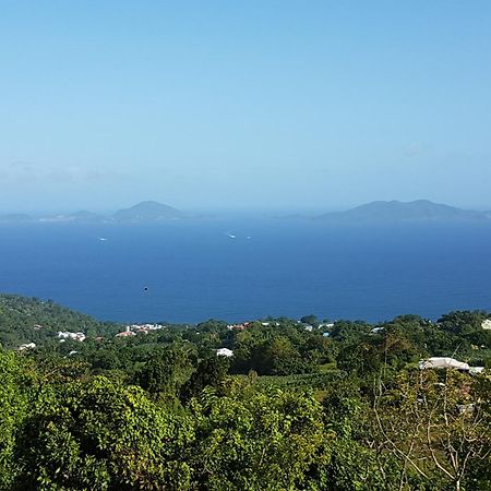 L'Ilot Fruits Guadeloupe Villa Trois-Rivières Kültér fotó