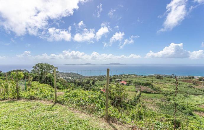 L'Ilot Fruits Guadeloupe Villa Trois-Rivières Kültér fotó