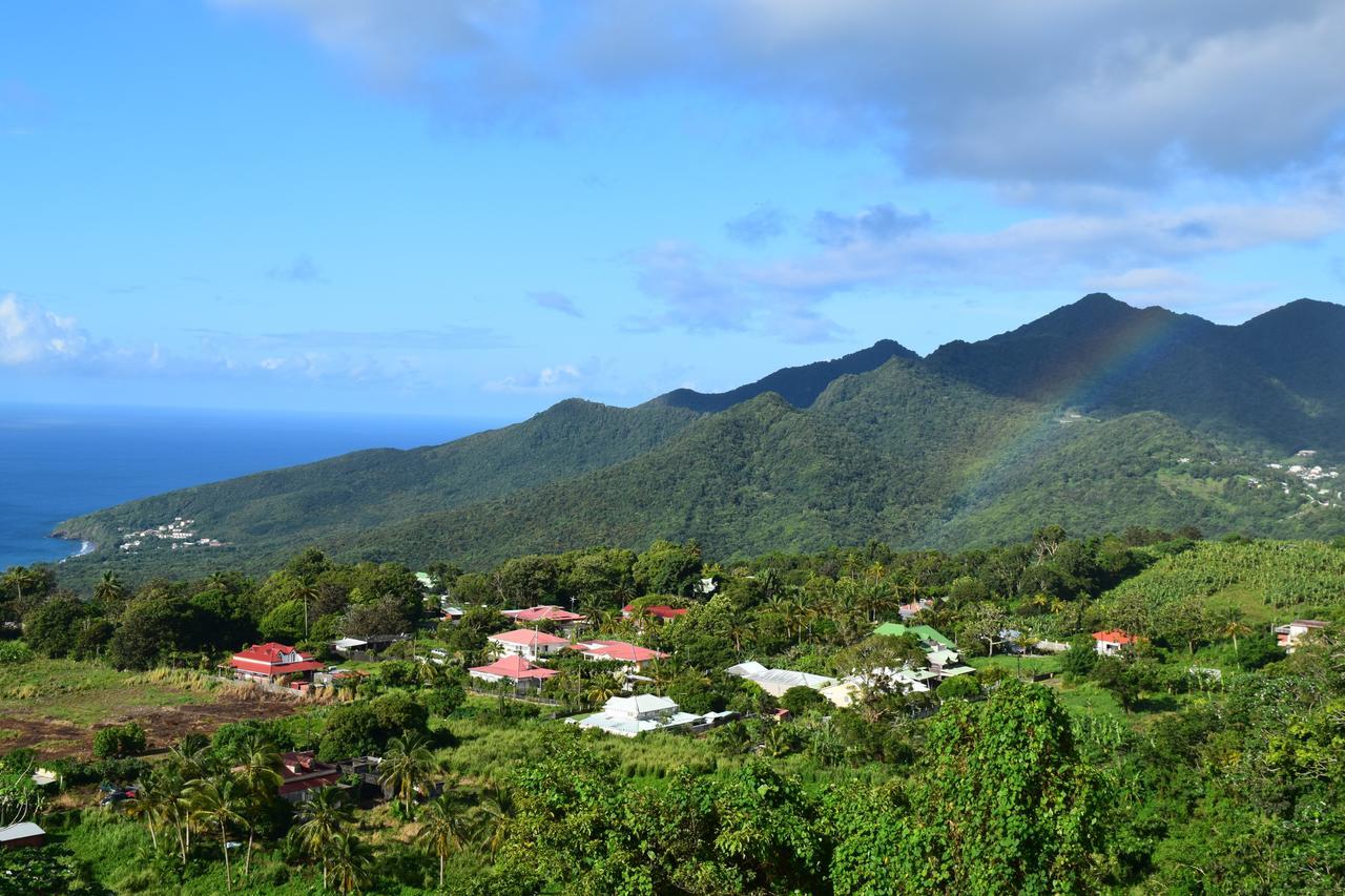 L'Ilot Fruits Guadeloupe Villa Trois-Rivières Kültér fotó